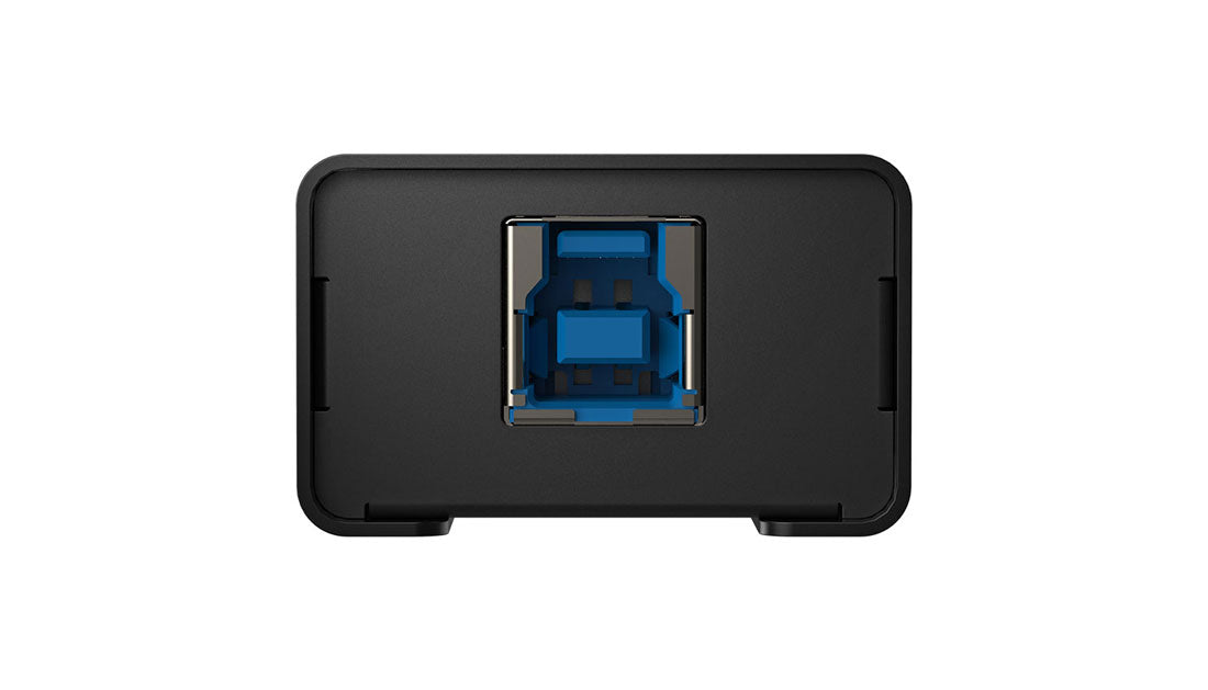 Roland UVC-01 USB Video Capture end